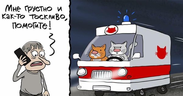 шутки скорой помощи