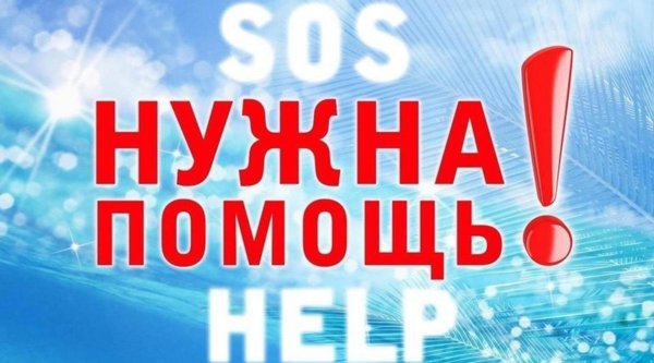 просим помощи
