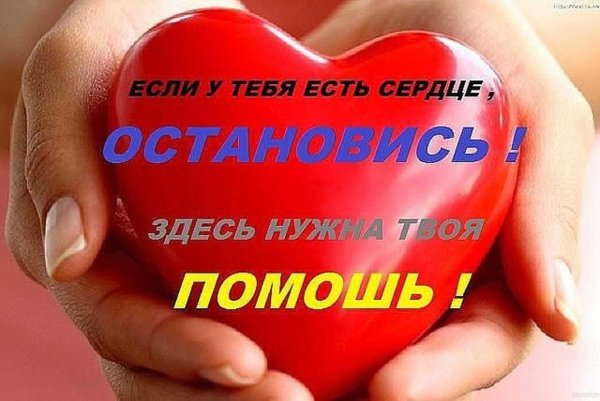 поделись добротой