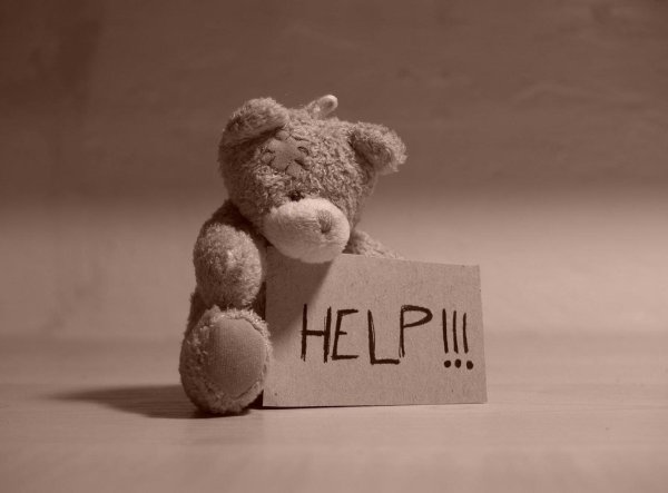 плюшевая мишка