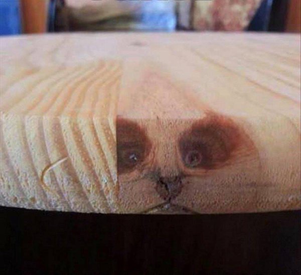 контроша мемы