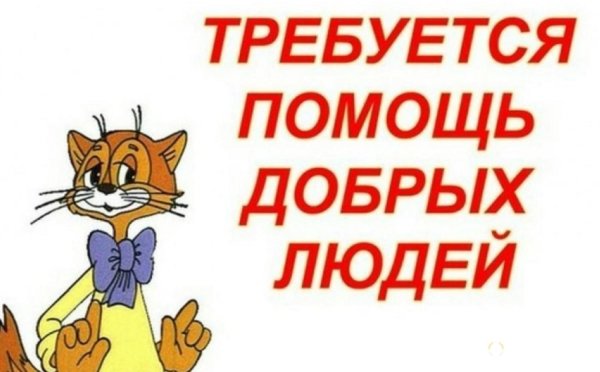 мультик кот леопольд