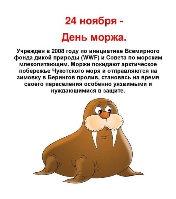 с днем моржа
