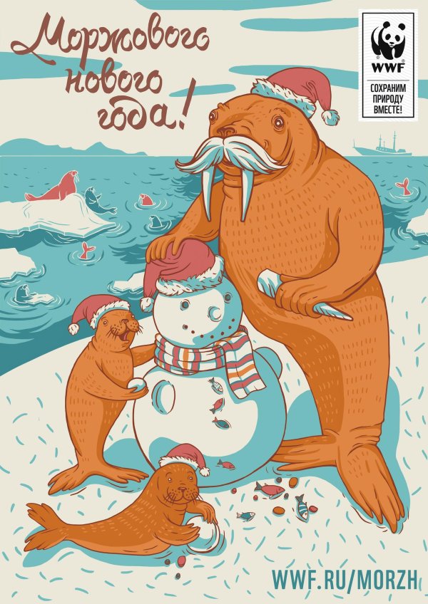 с новым годом моржи
