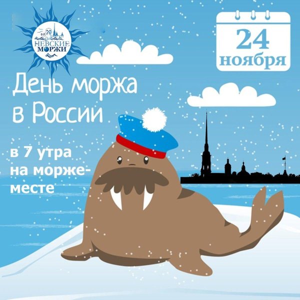 24 ноября день