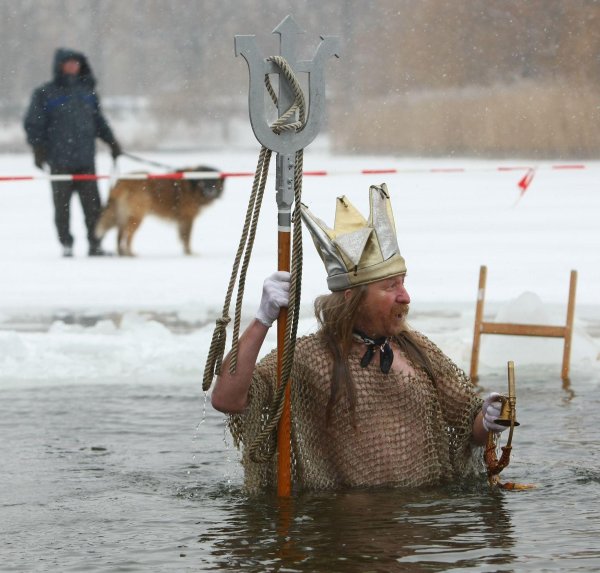липецкие моржи