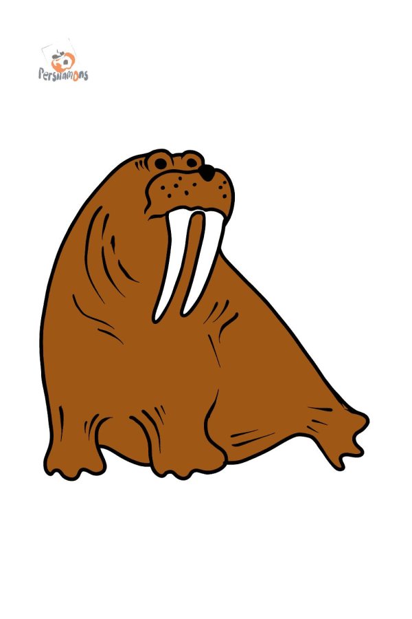 моржи рисунок