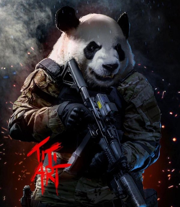 боевая панда