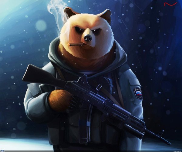 медведь спецназовец