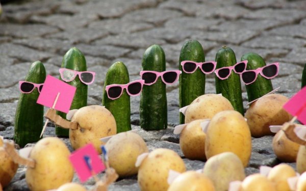 инсталляция из овощей