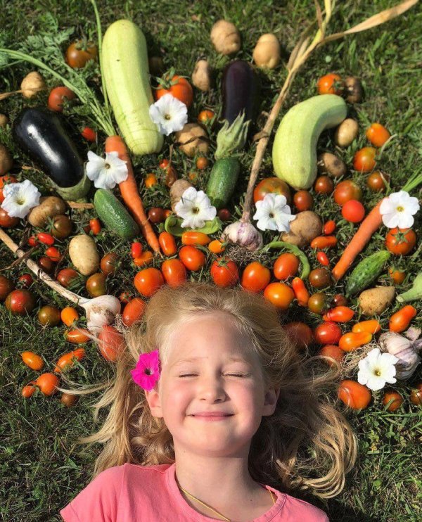 овощи с грядки