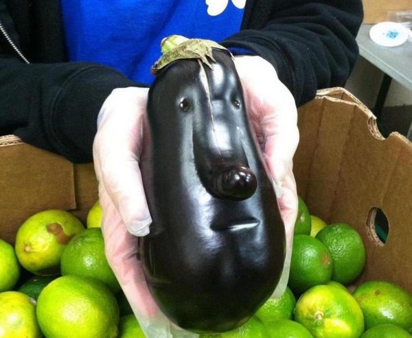 прикольный баклажан