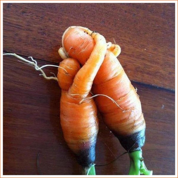 морковка прикол