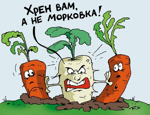 шутки про морковку
