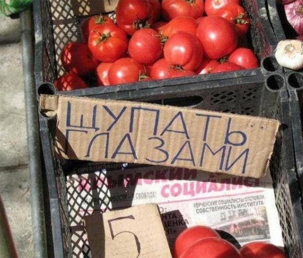 помидоры сорт