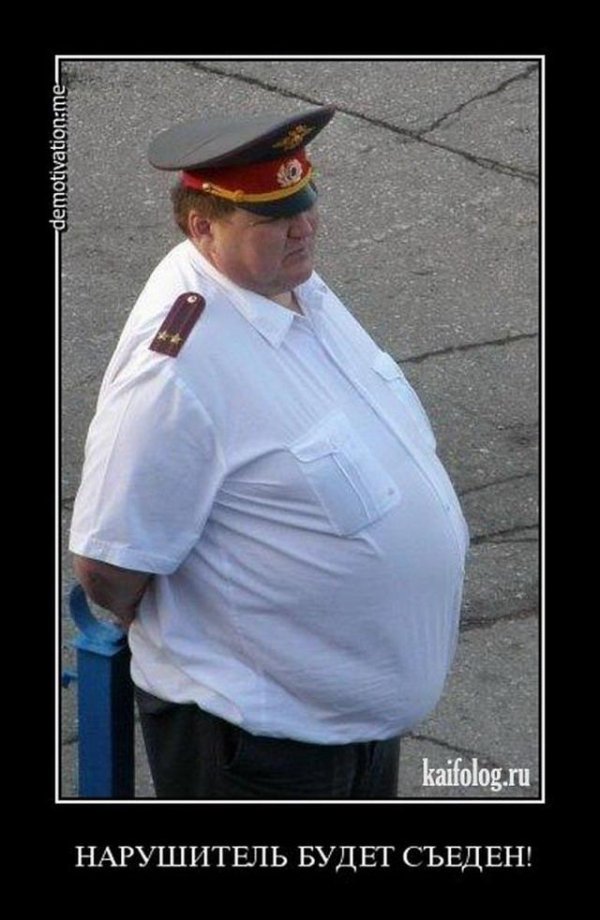 толстые полицейские