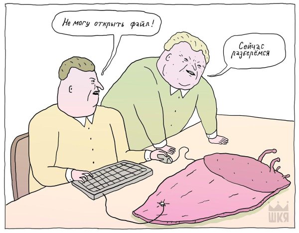 карикатуры свежие