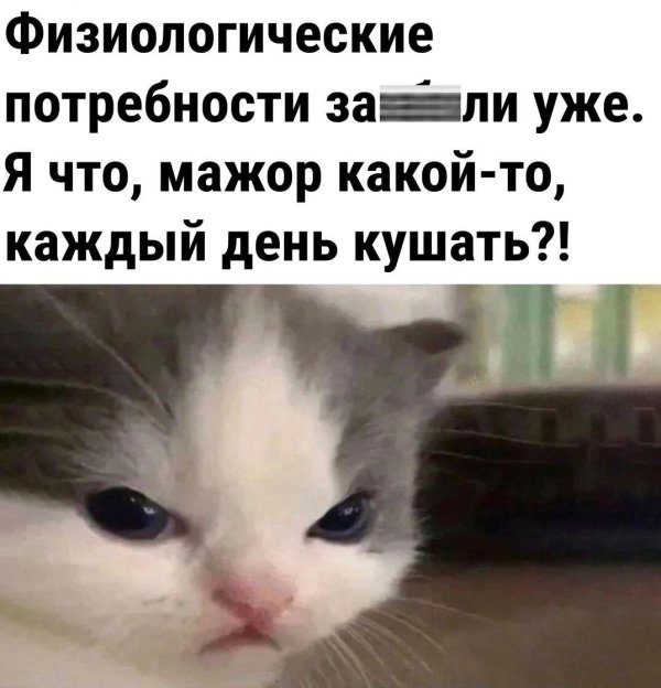 мемы анекдоты