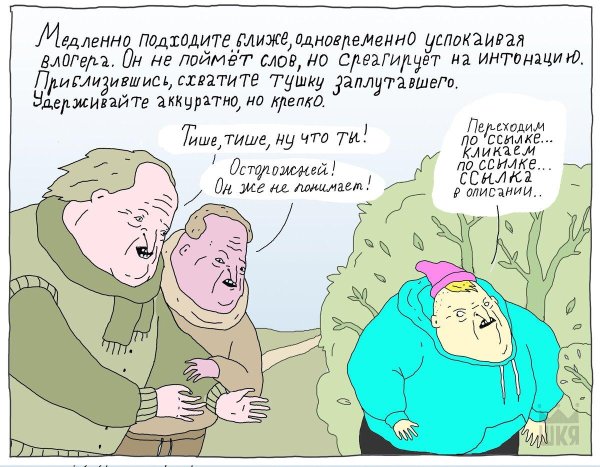 только шутки