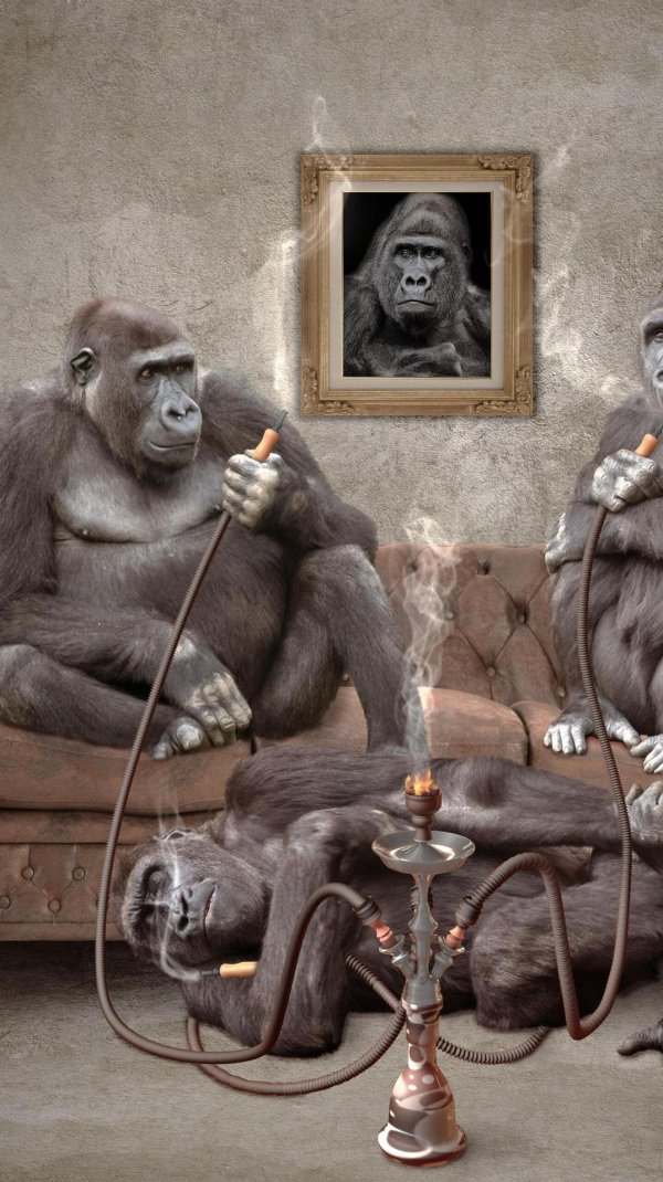 картина три обезьяны