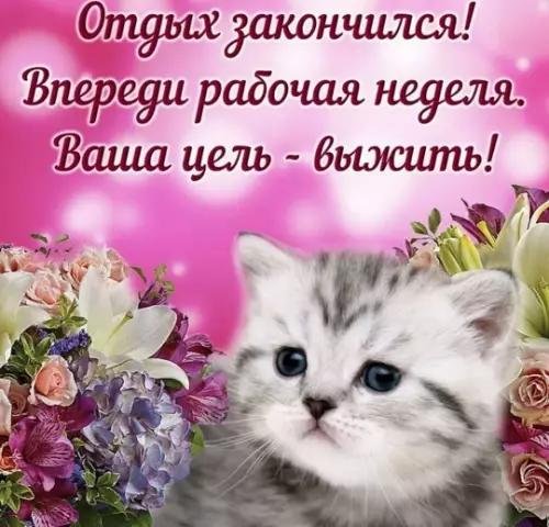 хорошей недели