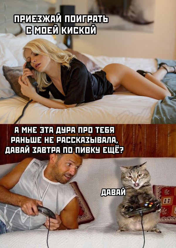 юмор для взрослых