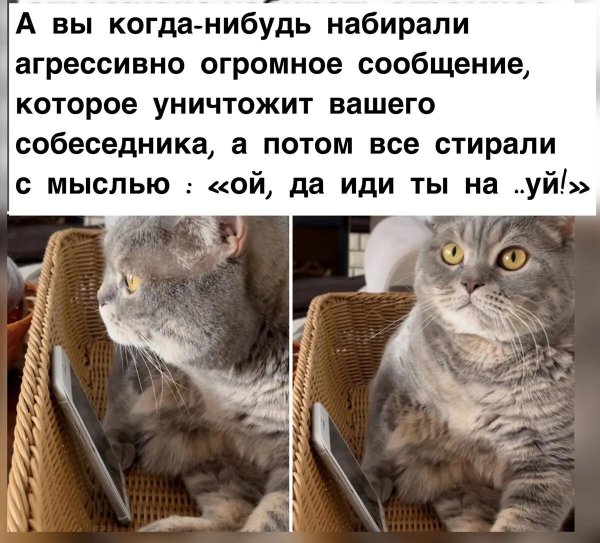 холодно мем