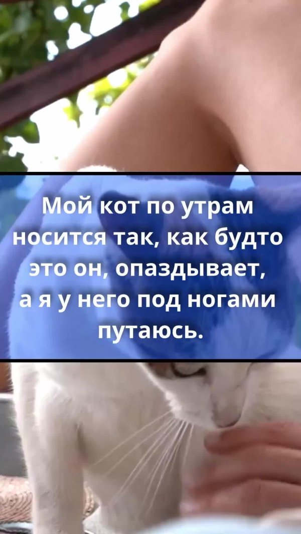 смешное утро