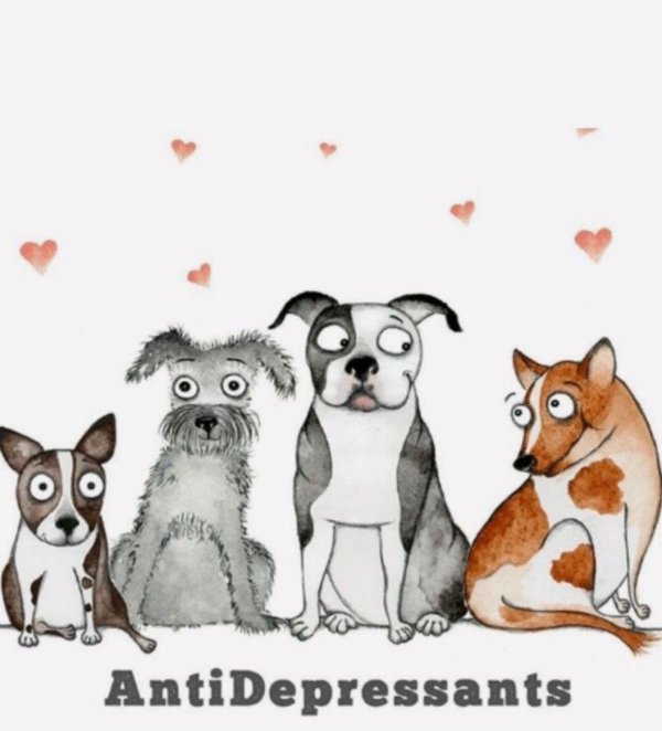 антидепрессивная собака