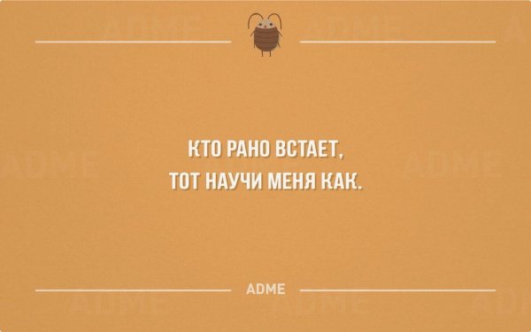 смешная цитата