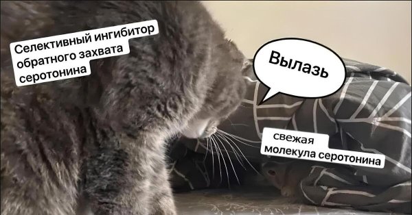 молекула серотонина