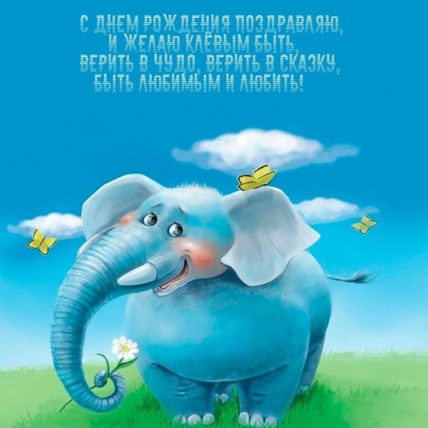 всемирный день слонов 30 ноября