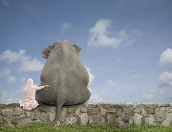 девушка на слоне