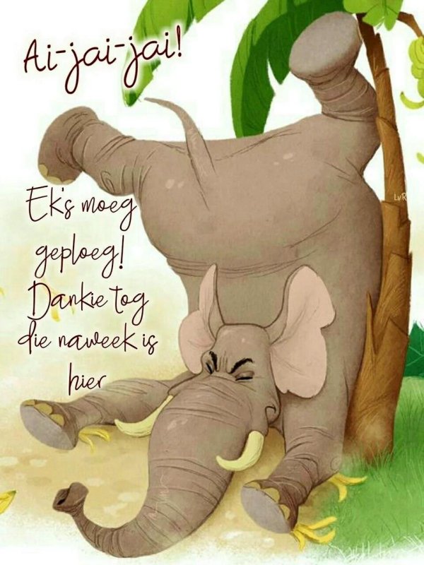 день тайского слона 13 марта