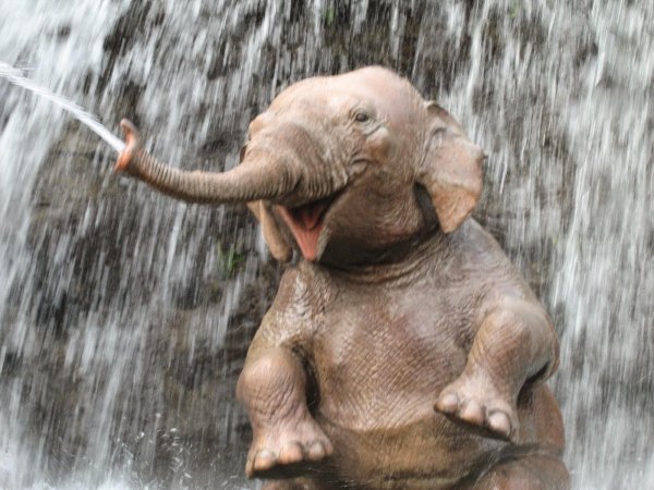 смешные слоны