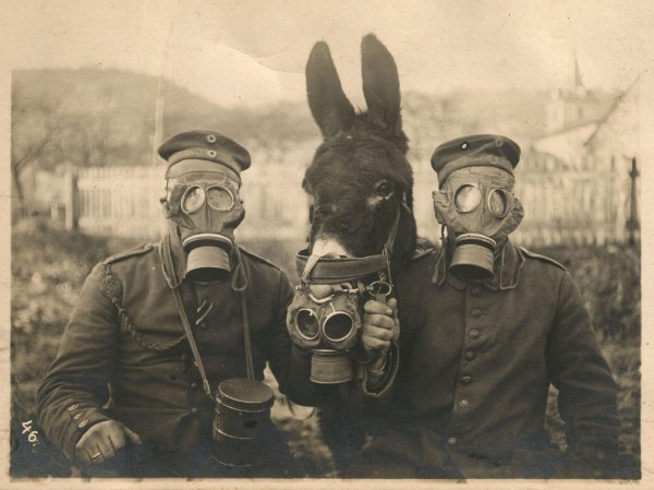 противогаз 1 мировой