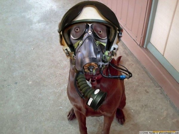 шлем летчика