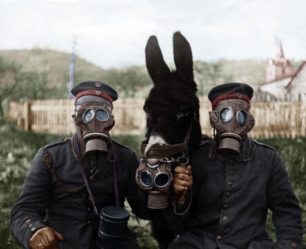 противогаз 1 мировой