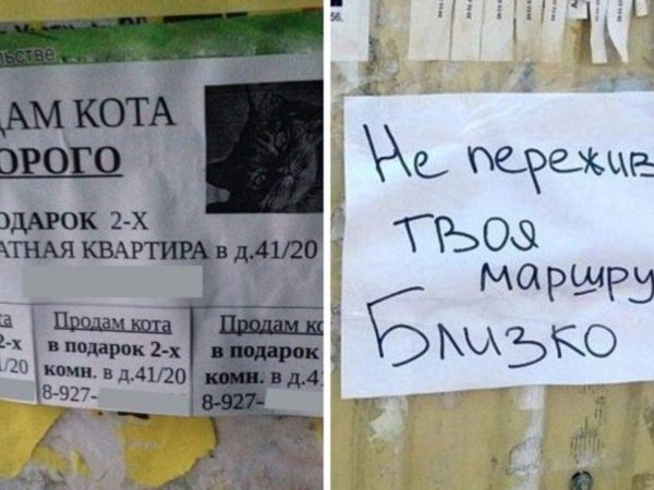 смешное объявление