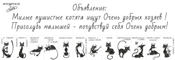 плохой день возьми с собой котика