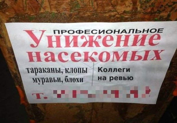 клоп таракан