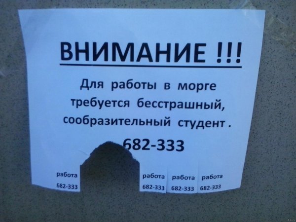 объявление на работу