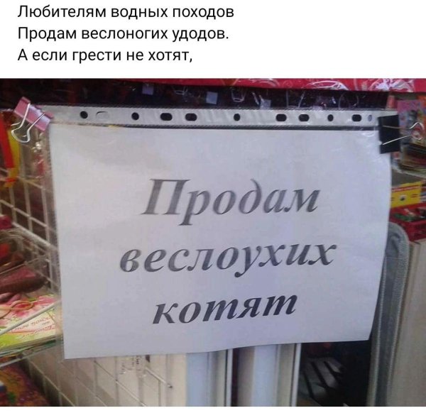 смешная надпись