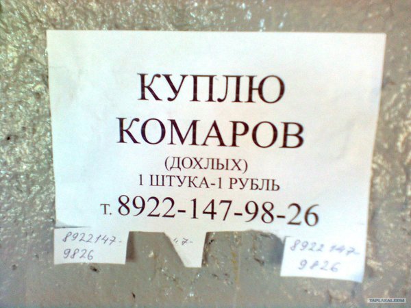 куплю комаров дохлых