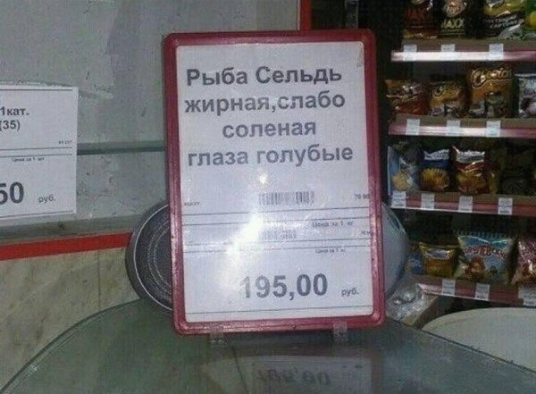 рыба сельдь