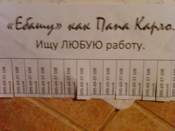 ищет работу