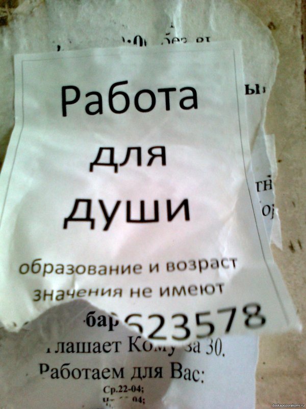 работа работа