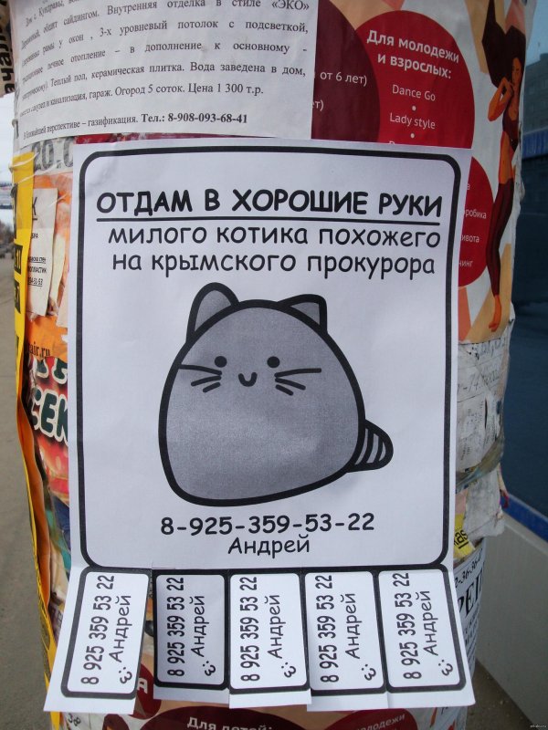 игрушка антистресс у меня от тебя мурашки котэ