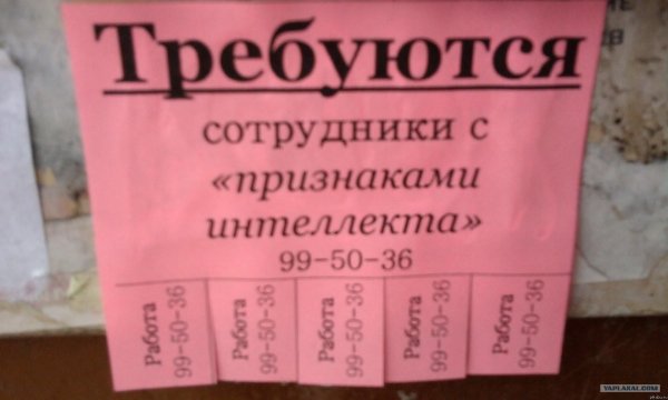 объявление требуется на работу