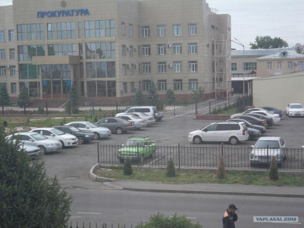 смешные фото про прокуратуру